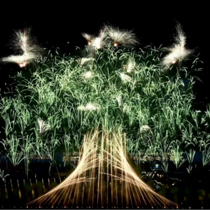 杨乐多第161期:成都世运会开幕式当晚小剪影