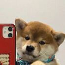 國際知名夢想家