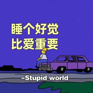 胶囊日记