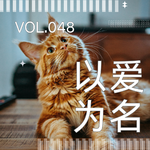 048. 免费领养开出天价？听「专业救助人」聊聊领养陷阱