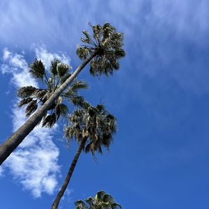 podcaster-avatar
