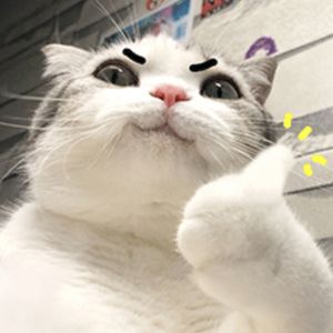 podcaster-avatar