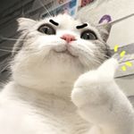 猴同学