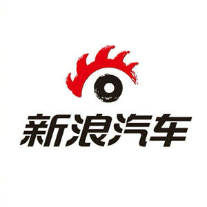 新浪汽车 新能源大牛说