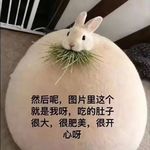 深夜徘徊