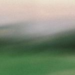 Collection_