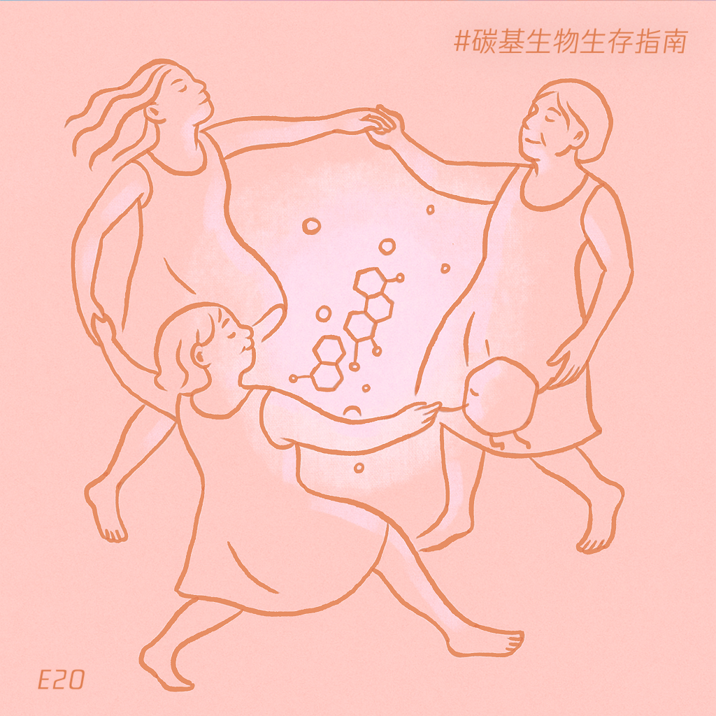 E20 女孩,姐妹,阿姨,我们来聊聊你的激素
