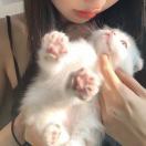 元气少女郭德纲_nIzj