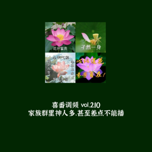 Album