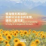 恨海情天再加码！我那分分合合的友情，堪称八离世家！