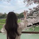 七梨香