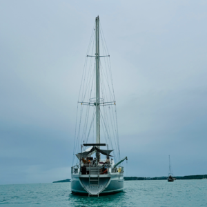 7. 百川东到海｜记我的第一次航海之旅。