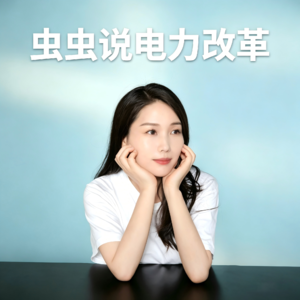 Vol855.四川下发虚拟电厂建设与运营管理实施方案