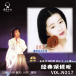 037孟庭苇《谁的眼泪在飞》下集 三生三世