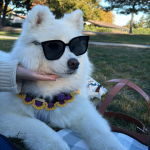 #31：2025｜没有轰轰烈烈的答案，平静即是圆满