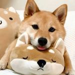 Bagel_
