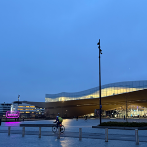 第4页：颂歌图书馆：如果不只是为了读书，我们要图书馆干什么？