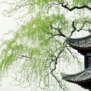 风吹草低_V6yn