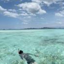 金沙流心咸蛋黄