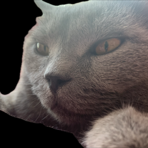 #45热点追踪「特朗普枪击案喷空+深圳女儿国见闻」