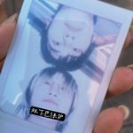 又在看鸟啊白痴
