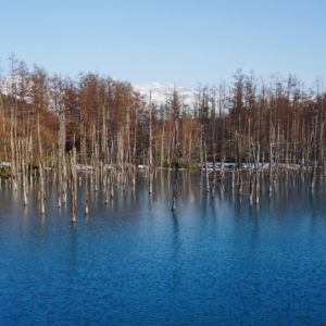 no5.极限天空的日本旅行概览北海道东北篇