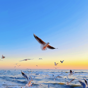 66、不上班的日子都在干啥？心安理得地享受春天～