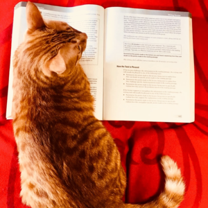 雅思口语Part 1高分语料 | Sunglasses 太阳镜