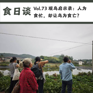 观鸟启示录：人为食忙，却让鸟为食亡？| Vol.73