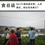 观鸟启示录：人为食忙，却让鸟为食亡？| Vol.73