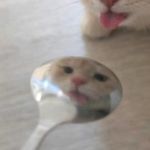 拒茶咖