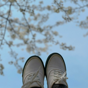 Vol.55 从西门町到愚园路：一场跨越海峡的City Walk，解锁记忆里的烟火与诗意(下)