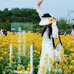 啊曉在家