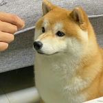 乌尔奇奥拉西法