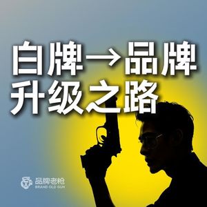 白牌→品牌升级之路