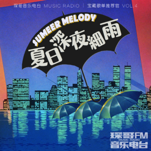 夏日深夜细雨【宝藏CITYPOP歌单SUMMER MELODY vol.3】