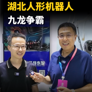 第306集 湖北人形机器人，九龙争霸