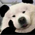 92大欣一直在