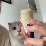 不和冷冰冰的人说话
