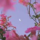 不想取名字ABCDE