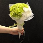 展开新世界