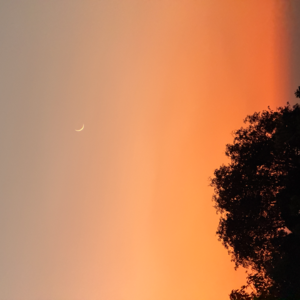 44 🇨🇳 大理/保山/潞江坝 云南十人家庭旅行团 我又行了！