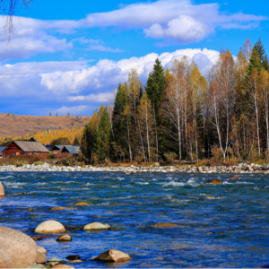 Vol.3由李娟说开来：打螺丝的自由、单女的快乐及其他