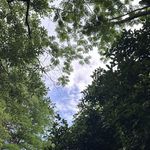 Vol.180 五月你balance了吗？