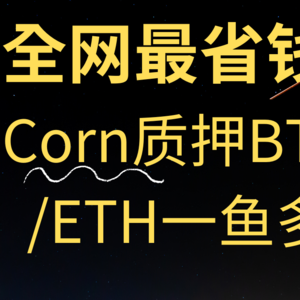 Corn精讲【13000刀重仓】可白嫖480万积分，只需是做过Babylon、Ethena、Arbitrum