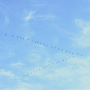 广告、互联网都干失败后，跑去当了一名作家｜对话林夏萨摩