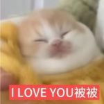 南蛮子_wang