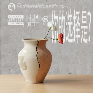 1768 vol.2 | 只能在“美丽笨蛋”或“丑陋精英”中二选一,你的选择是?