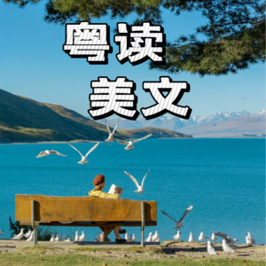 《和解之道》——海灵格