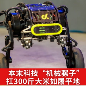 第538集 本末科技“机械骡子” 扛300斤大米如履平地